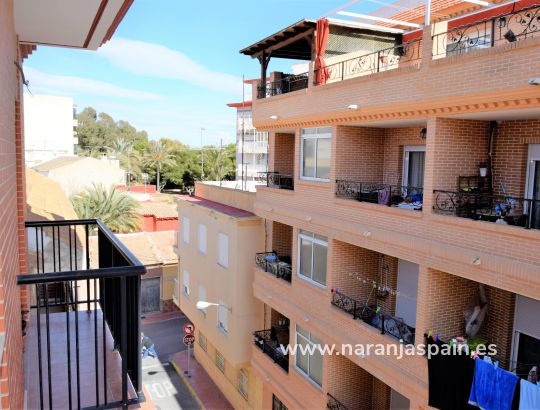 Apartamento - Vacacional - Guardamar del Segura - Parque Reina Sofia