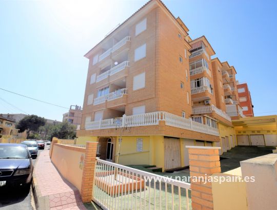Апартаменты - Краткосрочная аренда - Гвардамар дель Сегура - Пляж Guardamar
