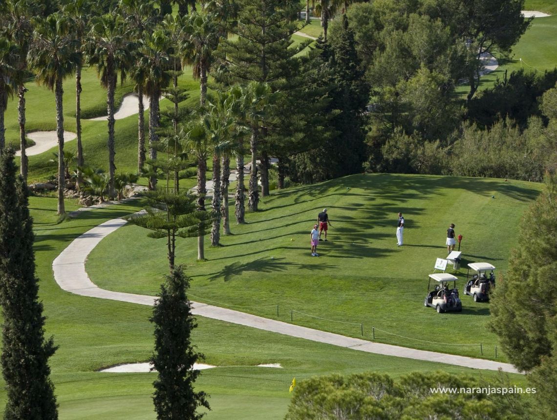  - Апартаменты - Ориуэла Коста  - Lomas De Campoamor-las Ramblas