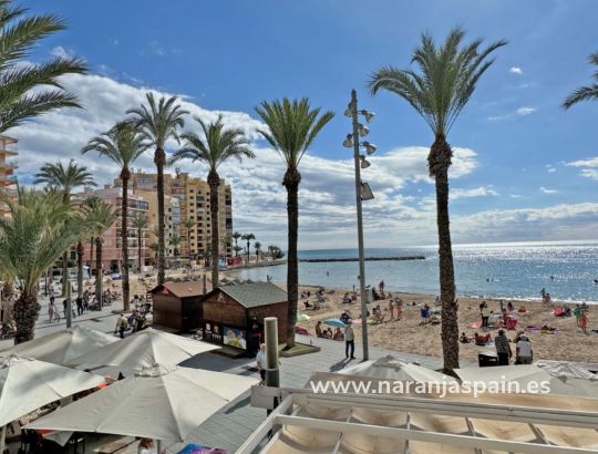 Апартаменты - Sale - Torrevieja - Playa del Cura