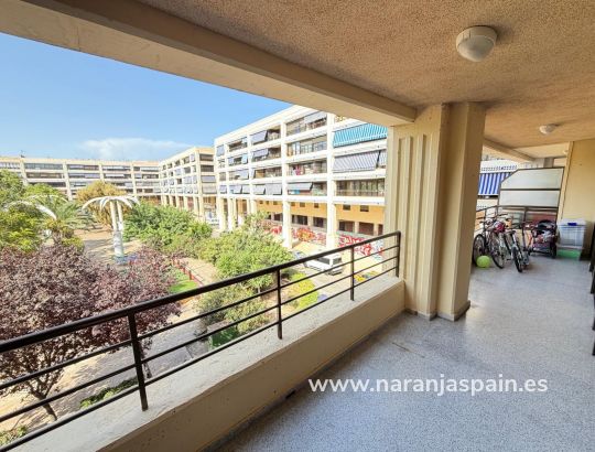Apartment - Sale - Guardamar del Segura - Plaza Porticada