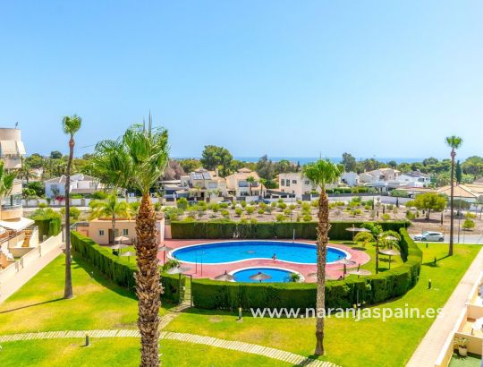 Apartment - Sale - Orihuela Coast - Campoamor