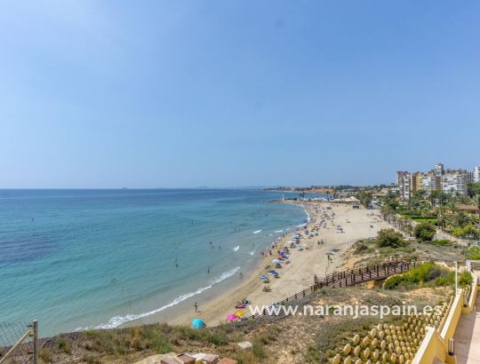 Apartment - Sale - Orihuela Costa - Campoamor