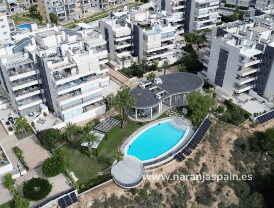 Apartment - Sale - Orihuela Costa - Villamartín