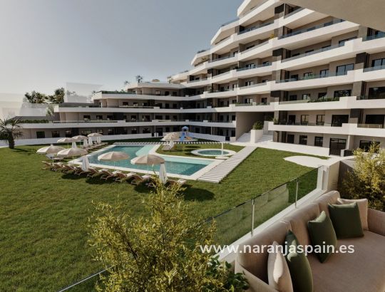 Apartment -  - San Miguel de Salinas - Pueblo