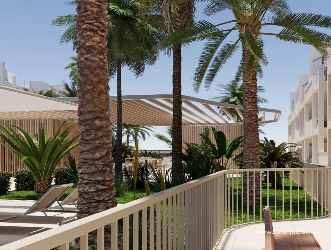  - Apartment - Torre Pacheco - San Cayetano