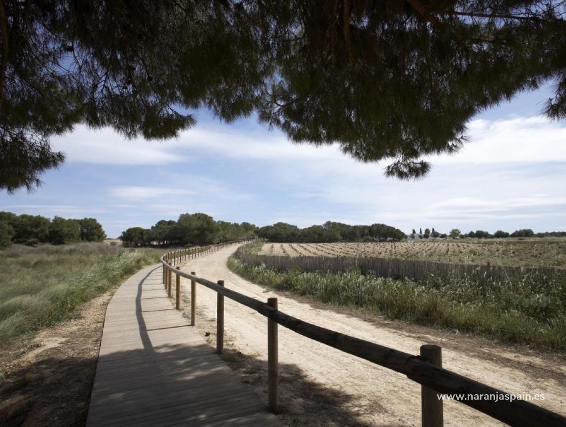  - Бунгало - Torrevieja - aguas nuevas