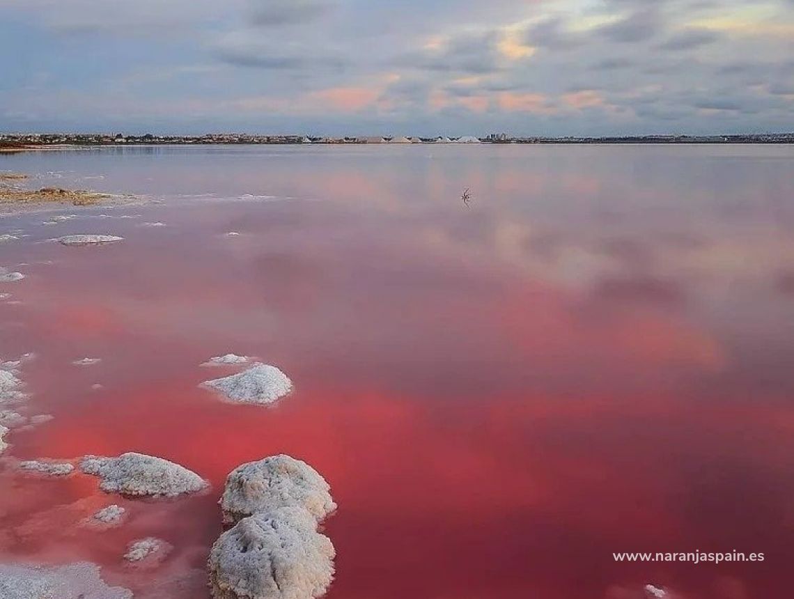  - Бунгало - Torrevieja - Lago Jardin