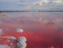  - Бунгало - Torrevieja - Lago Jardin