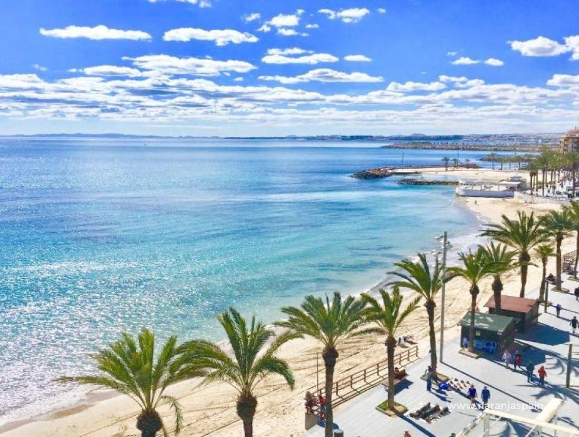  - Бунгало - Torrevieja - Lago Jardin