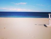  - Bungalow - Pilar de la Horadada - Parque Ramon eugenio Escudero