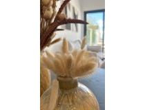  - Bungalow - San Fulgencio - Pueblo