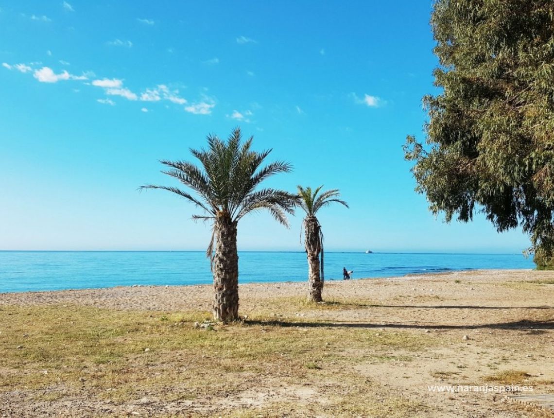  - Butas - Villajoyosa - Playas Del Torres