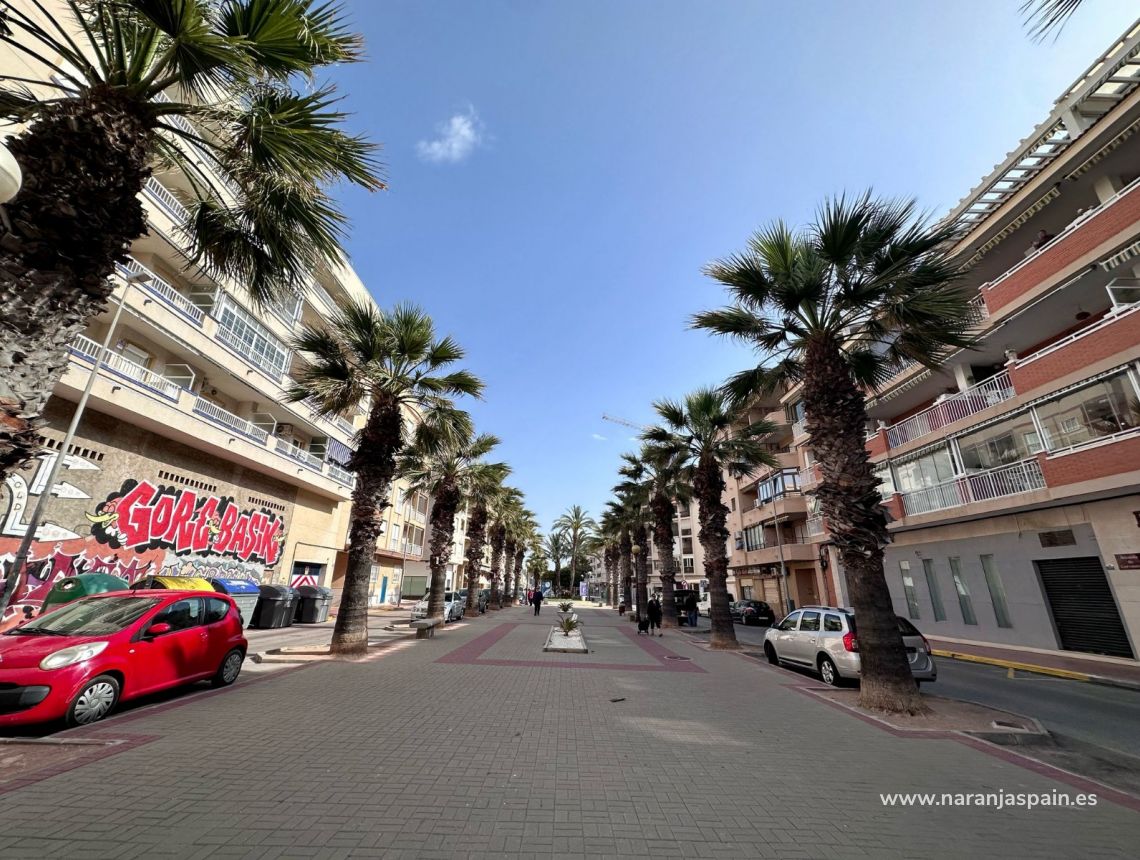 Долгосрочная аренда - Апартаменты - Гвардамар дель Сегура - CENTRO