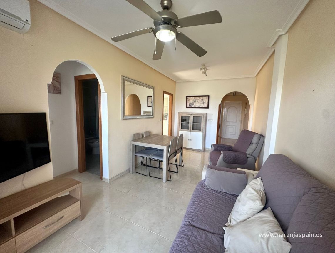 Ilgalaike nuoma - Apartamentai - Guardamar del Segura - Avenida del Puerto