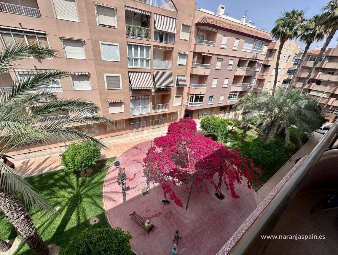 Ilgalaike nuoma - Apartamentai - Guardamar del Segura - CENTRO