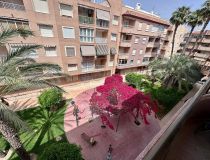 Ilgalaike nuoma - Apartamentai - Guardamar del Segura - CENTRO