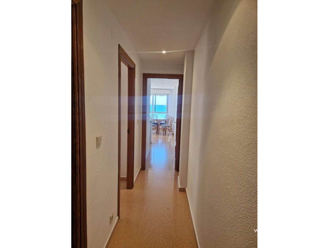 Ilgalaike nuoma - Apartamentai - Guardamar del Segura - CENTRO