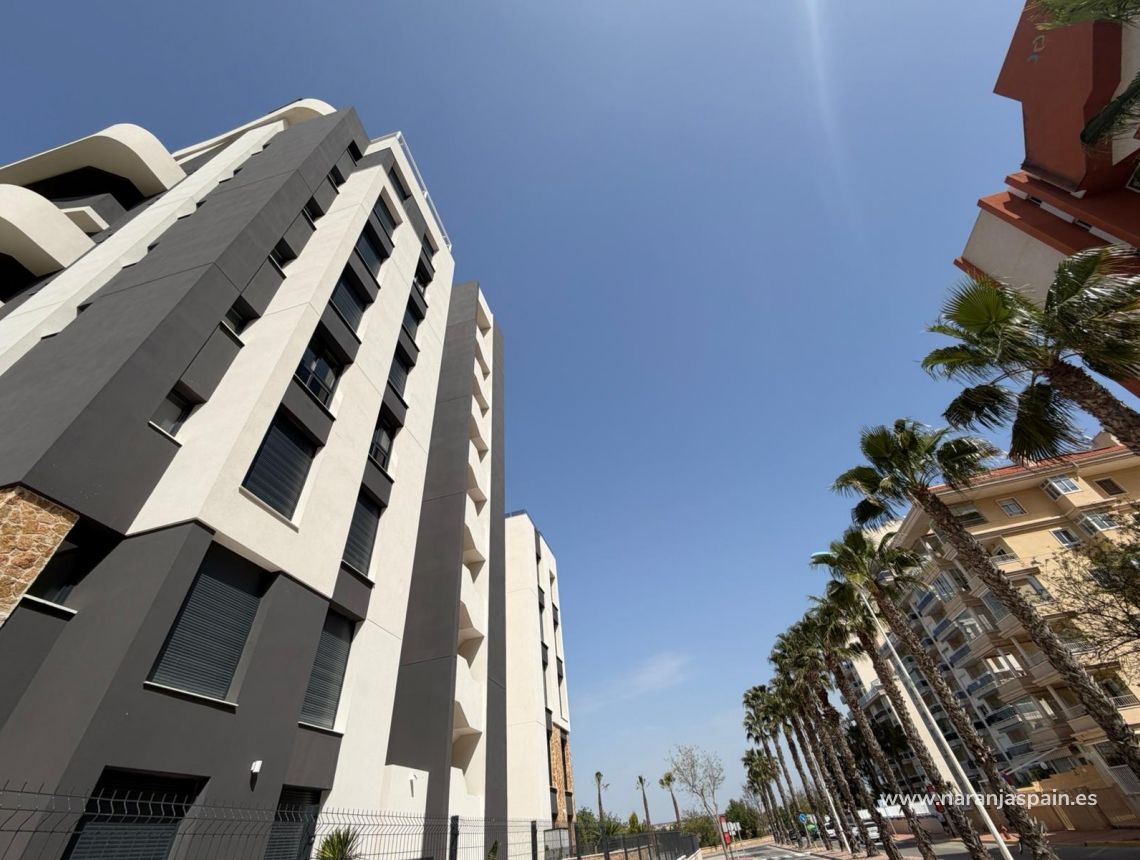 Ilgalaike nuoma - Apartamentai - Guardamar del Segura - Puerto