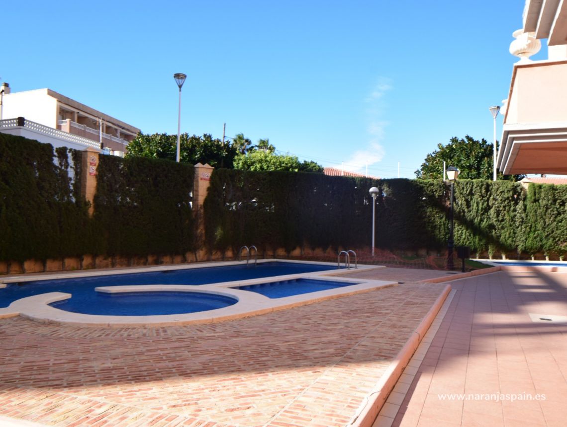 Ilgalaike nuoma - Apartamentai - Torrevieja - Playa de los locos