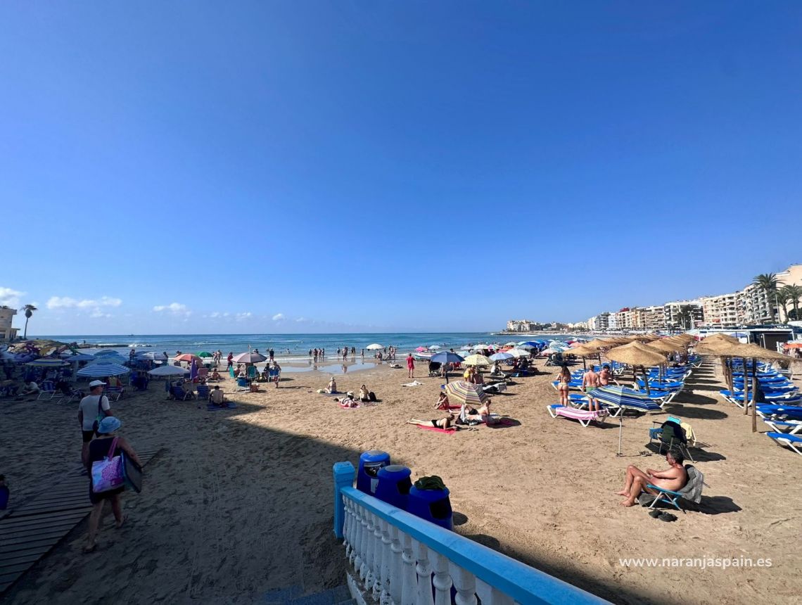 Ilgalaike nuoma - Apartamentai - Torrevieja - Playa de los locos