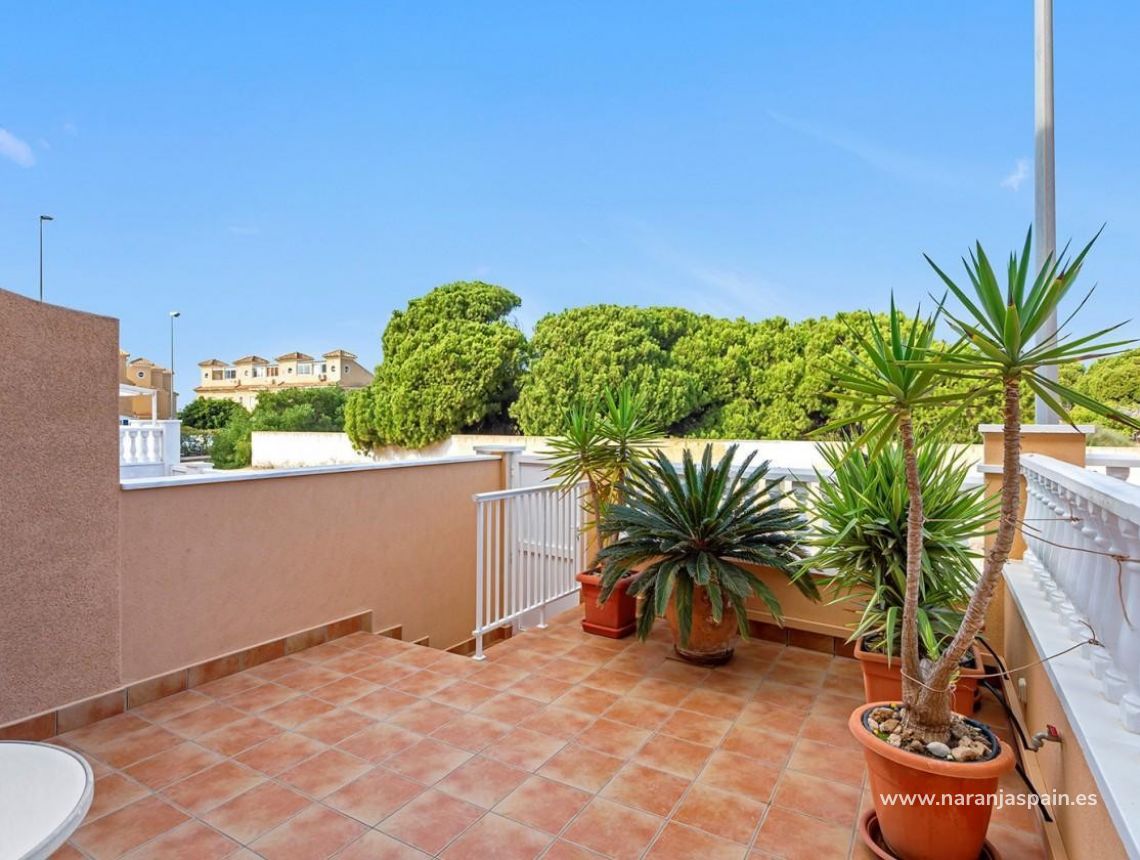 Ilgalaike nuoma - Bungalow - Torrevieja - La Mata