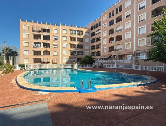 Lägenhet - Sale - Guardamar del Segura - Guardamar