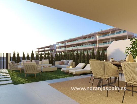 Lägenhet -  - Torrevieja - La Hoya