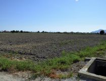 Landa - Sale - Catral - P-1148