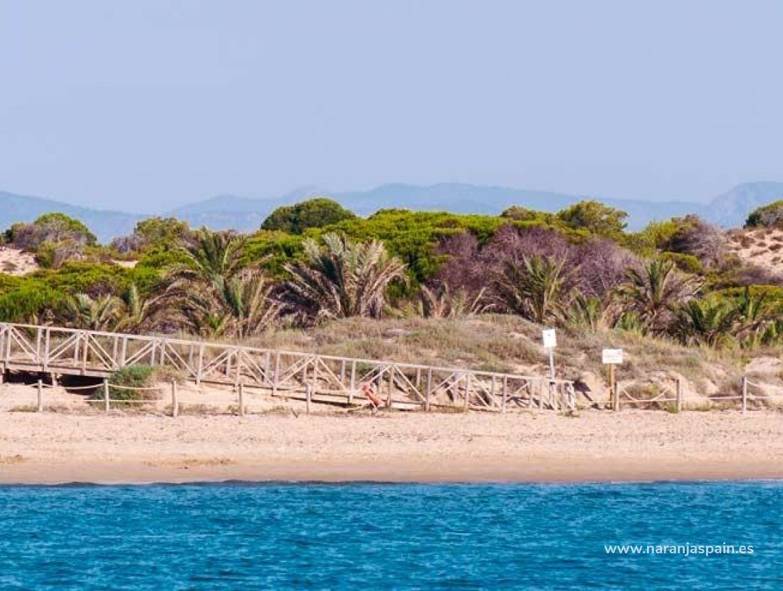 - Leilighet - Guardamar del Segura - Pueblo