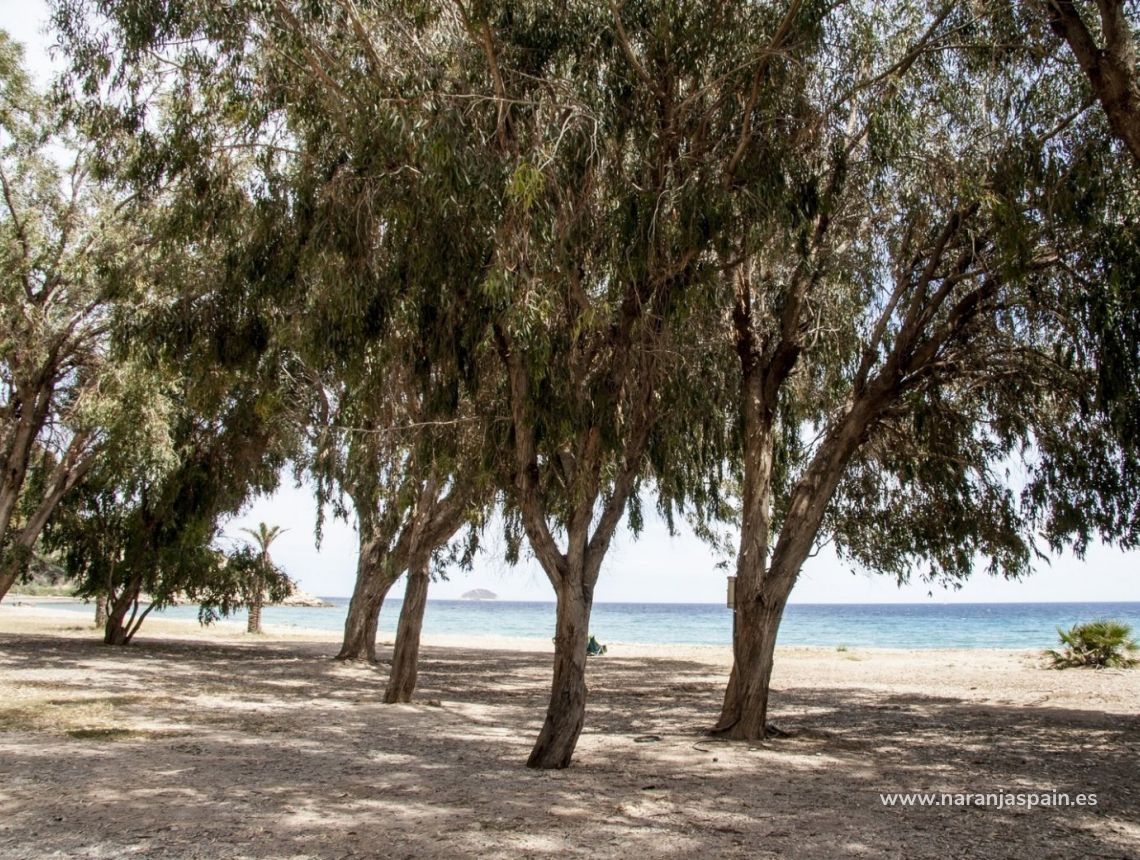  - Leilighet - Villajoyosa - Playas Del Torres