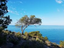  - Leilighet - Villajoyosa - Playas Del Torres