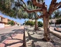 Long Term Rentals - Adosado - Guardamar del Segura - Urb. Portico Mediterraneo