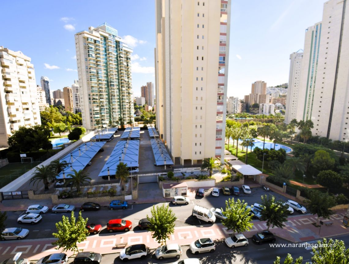 Long Term Rentals - Apartment - Benidorm - Playa Poniente