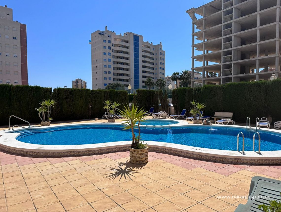 Long Term Rentals - Apartment - Guardamar del Segura - Avenida del Puerto