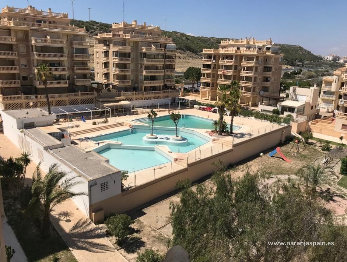 Long Term Rentals - Apartment - Guardamar del Segura - Campomar