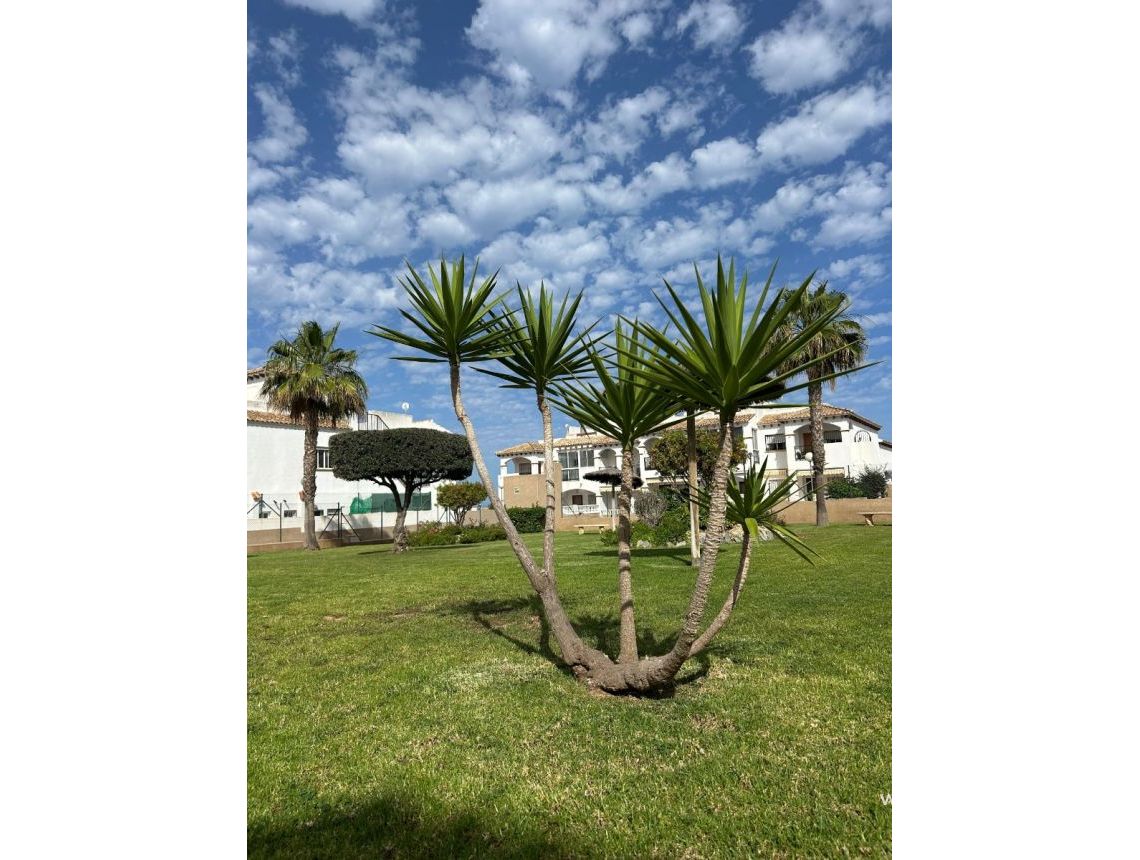 Long Term Rentals - Bungalows - Orihuela - Punta Prima