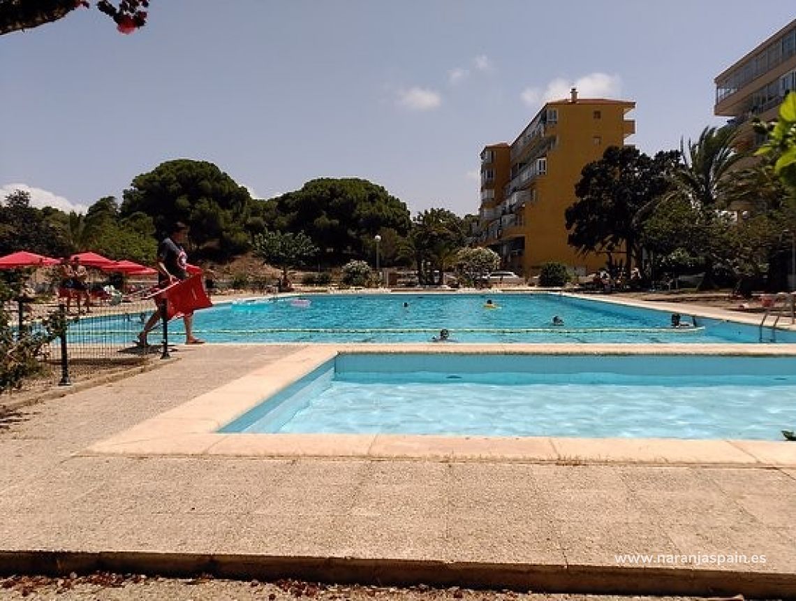 Long Term Rentals - Lägenhet - Guardamar del Segura - Pinomar
