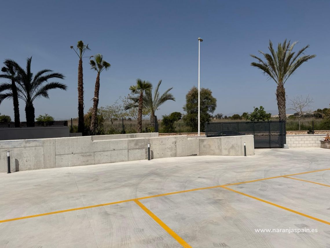 Long Term Rentals - Lägenhet - Guardamar del Segura - Puerto