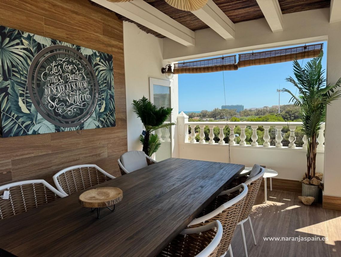 Long Term Rentals - Penthouses - Guardamar del Segura