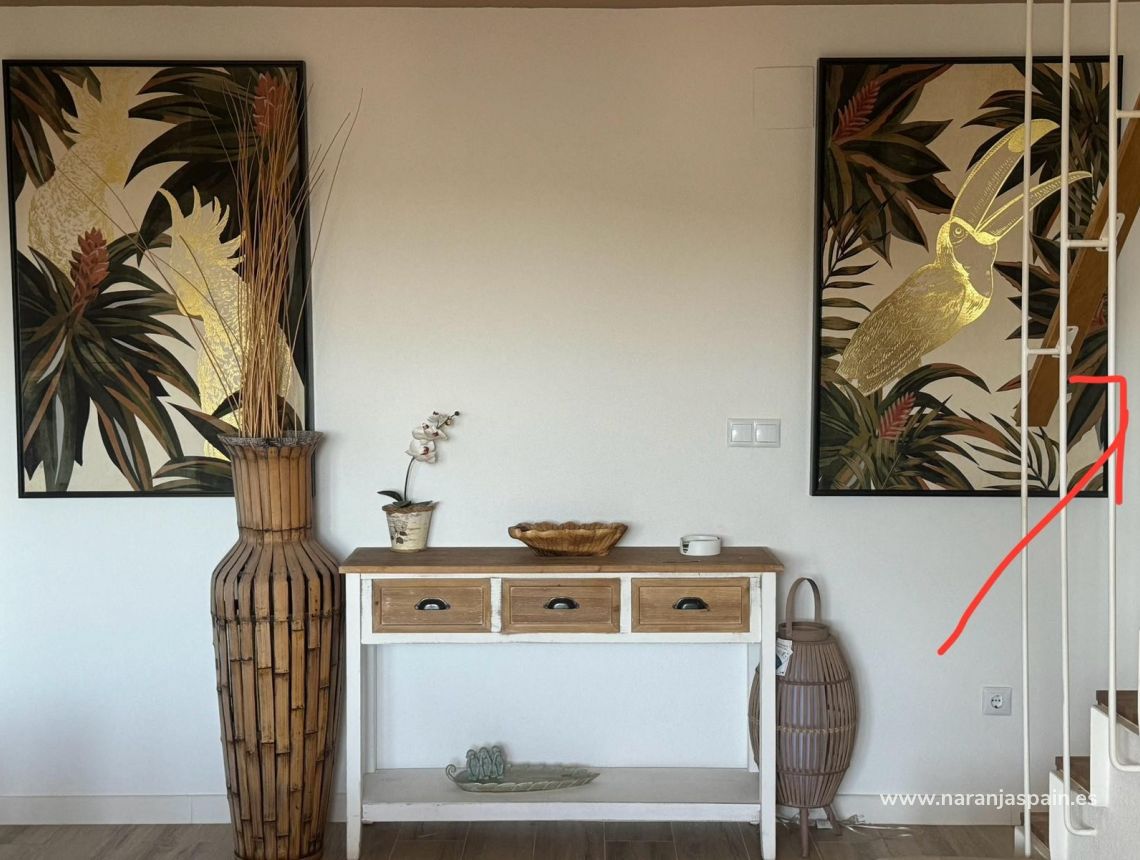 Long Term Rentals - Penthouses - Guardamar del Segura