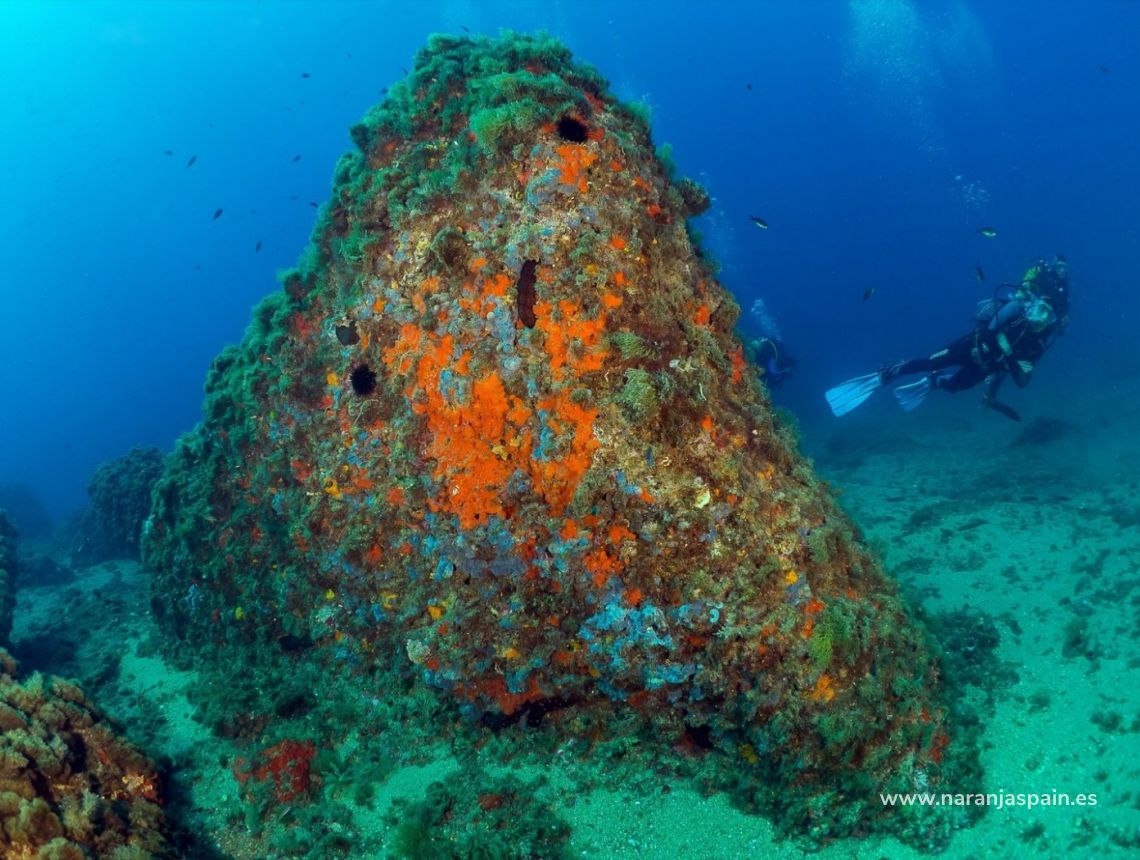 Nauja statyba - Apartamentai - Aguilas - Isla Del Fraile