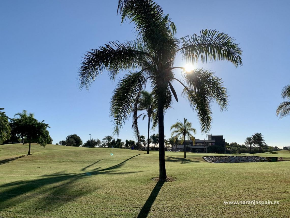 Nauja statyba - Bungalow - San Javier - Roda Golf