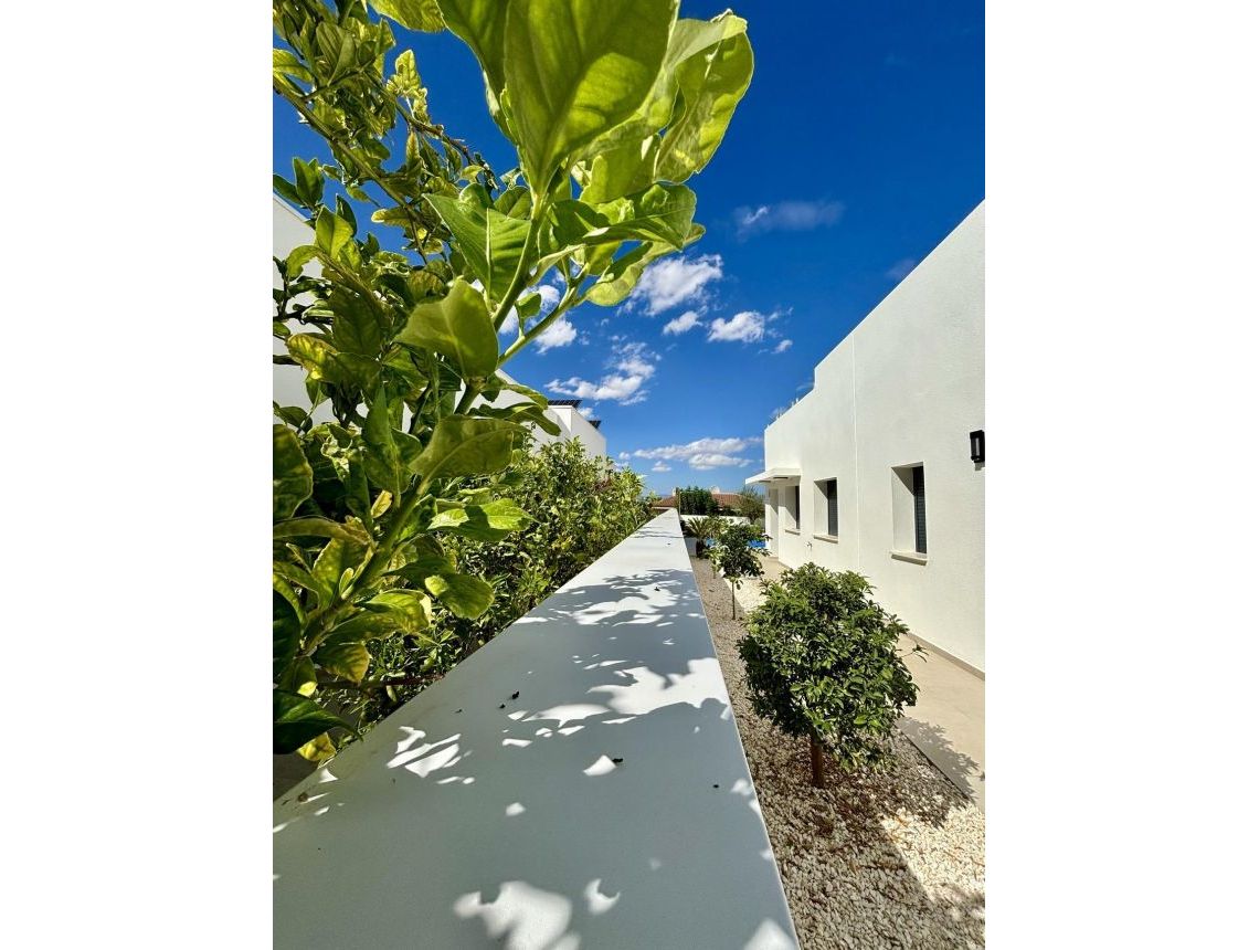 Nauja statyba - Villa - Benijofar