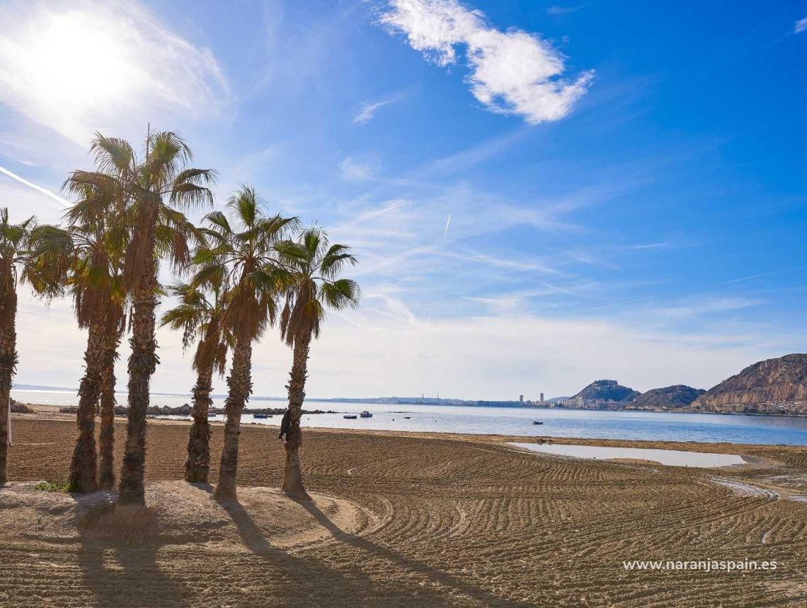 Nauja statyba - Villa - Els Poblets - Marina Alta