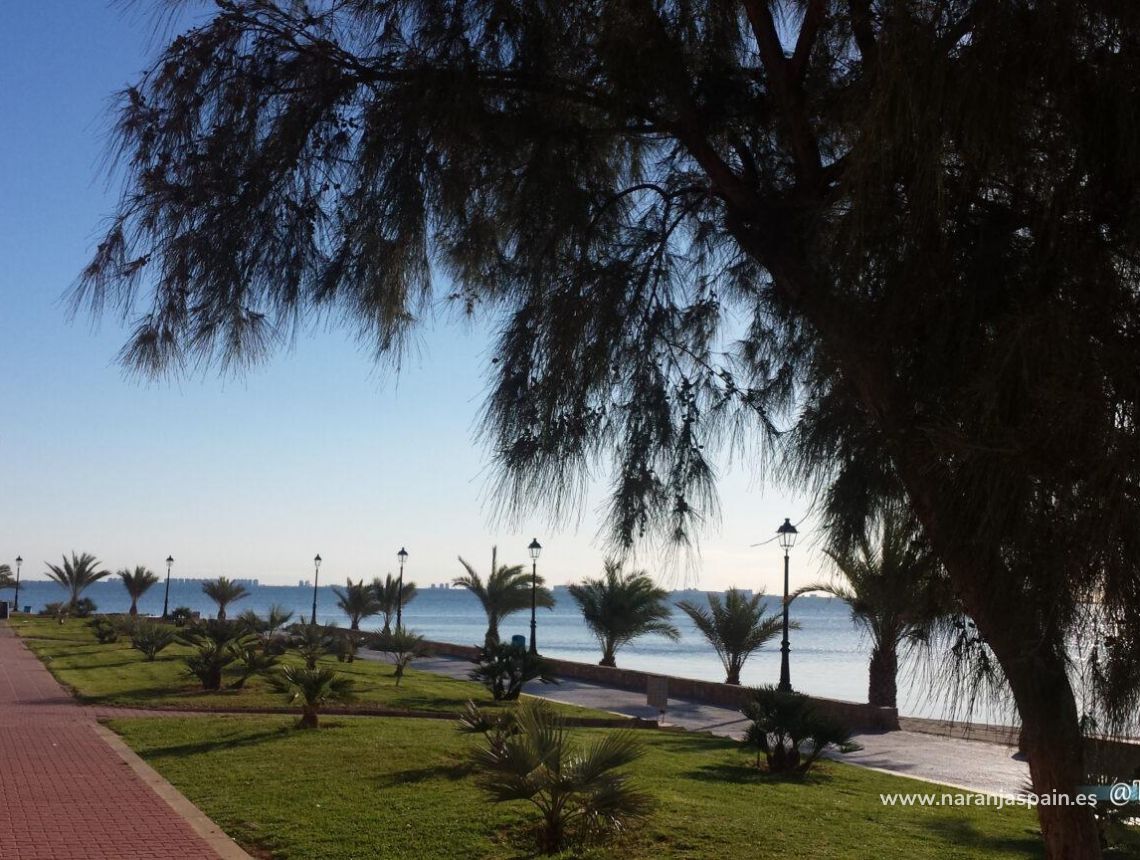 Nauja statyba - Villa - Los Alcázares - Serena Golf