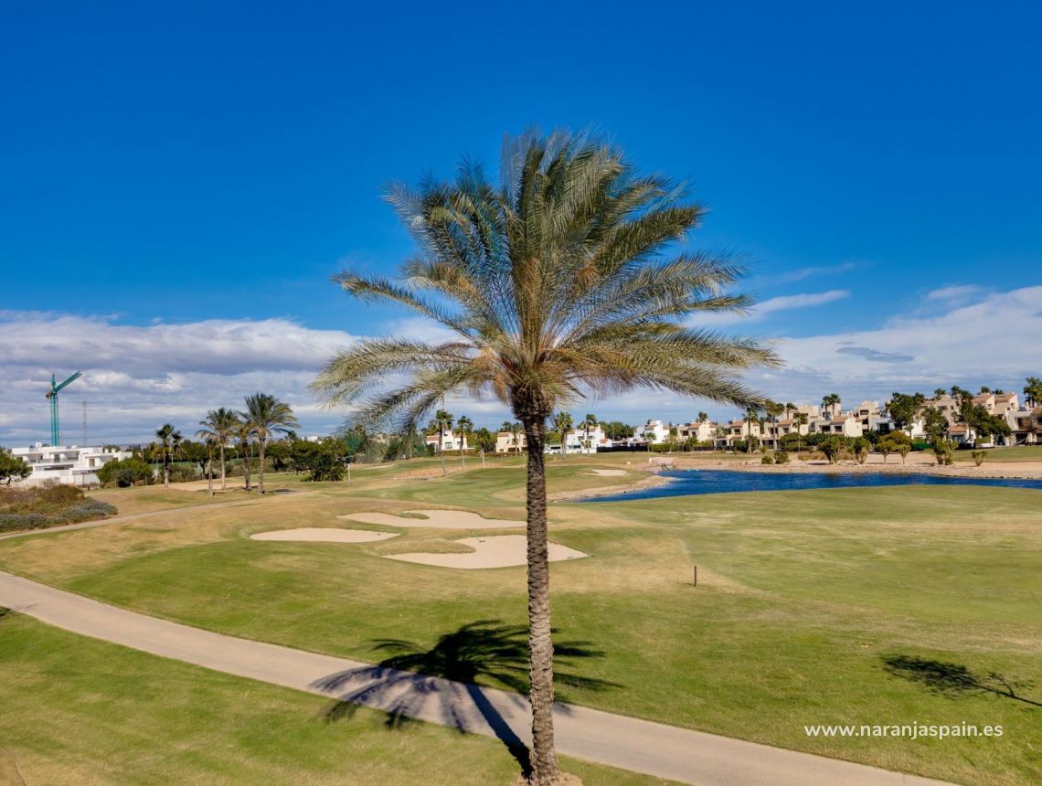 Nauja statyba - Villa - Pilar de la Horadada - Lo Romero Golf