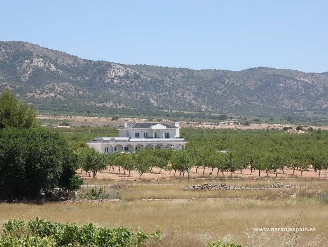 Nauja statyba - Villa - Pinoso - Camino Del Prado