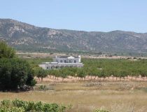 Nauja statyba - Villa - Pinoso - Camino Del Prado