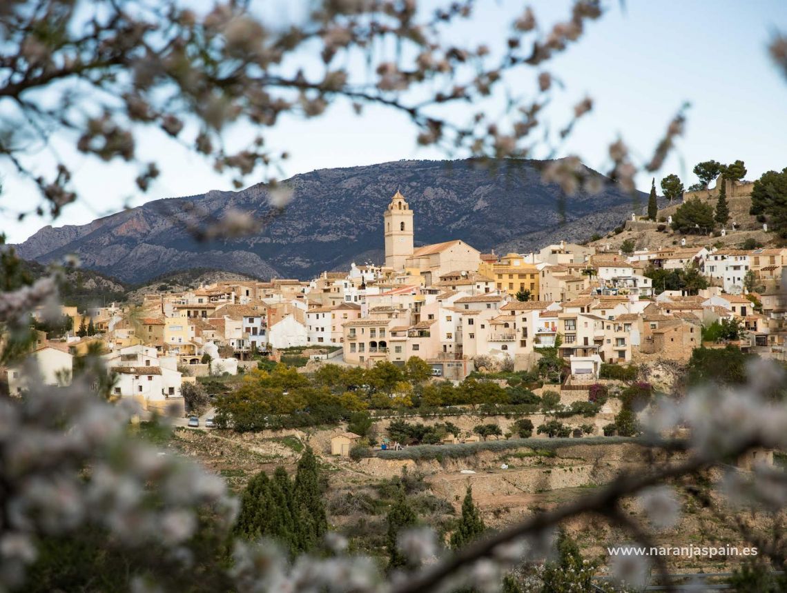Nauja statyba - Villa - Polop - Polop Hills